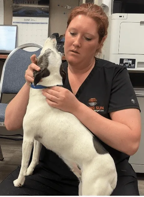 animal-chiropractic-st-peter-mn certified animal chiropractor for dogs and cats in St Peter MN at Rising Sun Chiropractic