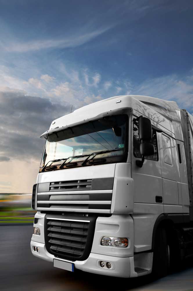 dot-physical-exam-st-peter-mn certified commercial driver dot physical exam St Peter MN at Rising Sun Chiropractic