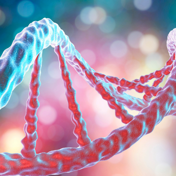 Weight Loss in St. peter uses genetics