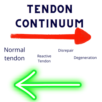 Treating Tendon injuries at Rising Sun Chiropractic