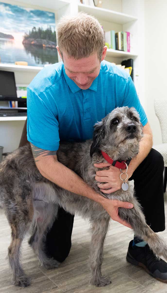 Animal chiropractic treatment at Rising Sun Chiropractic in St Peter MN