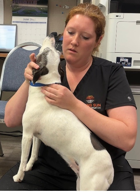 certified animal chiropractor for dogs and cats in St Peter MN at Rising Sun Chiropractic